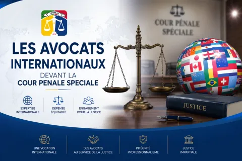 avocats internationaux