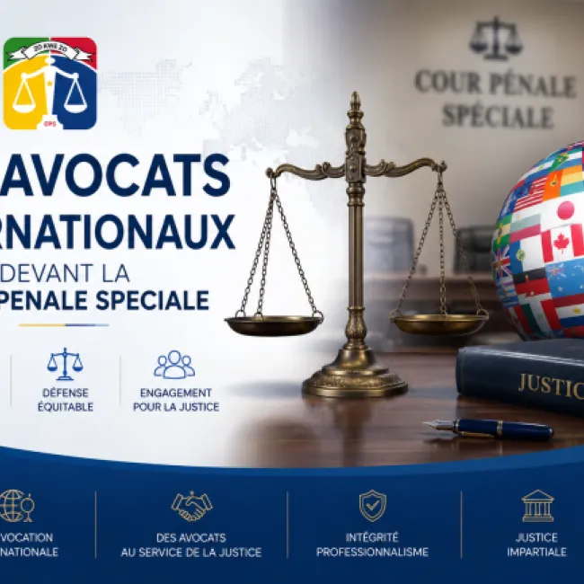 LES AVOCATS INTERNATIONAUX